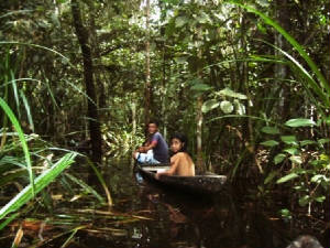 With the canoe deep into the jungle