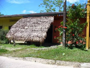 Mahatu Jungle Lodge