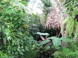 Mahatu Jungle Garden