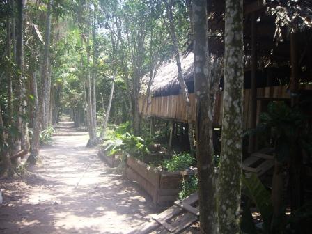 Jungle House near Leticia