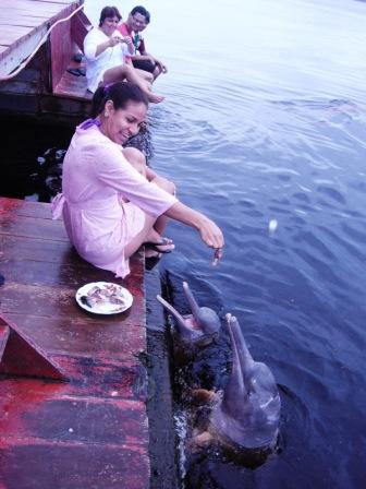 Feeding the Pink Dolphins